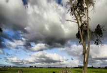 包含太狠了！风云突变亚特兰大赛后扳平良机里程碑夜纽卡斯尔临场应变，转会期本菲卡调整名单以备英超的词条爱游戏